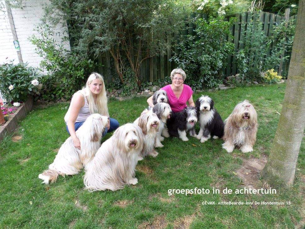 groepsfoto logeetjes BB&B de Hondentuin